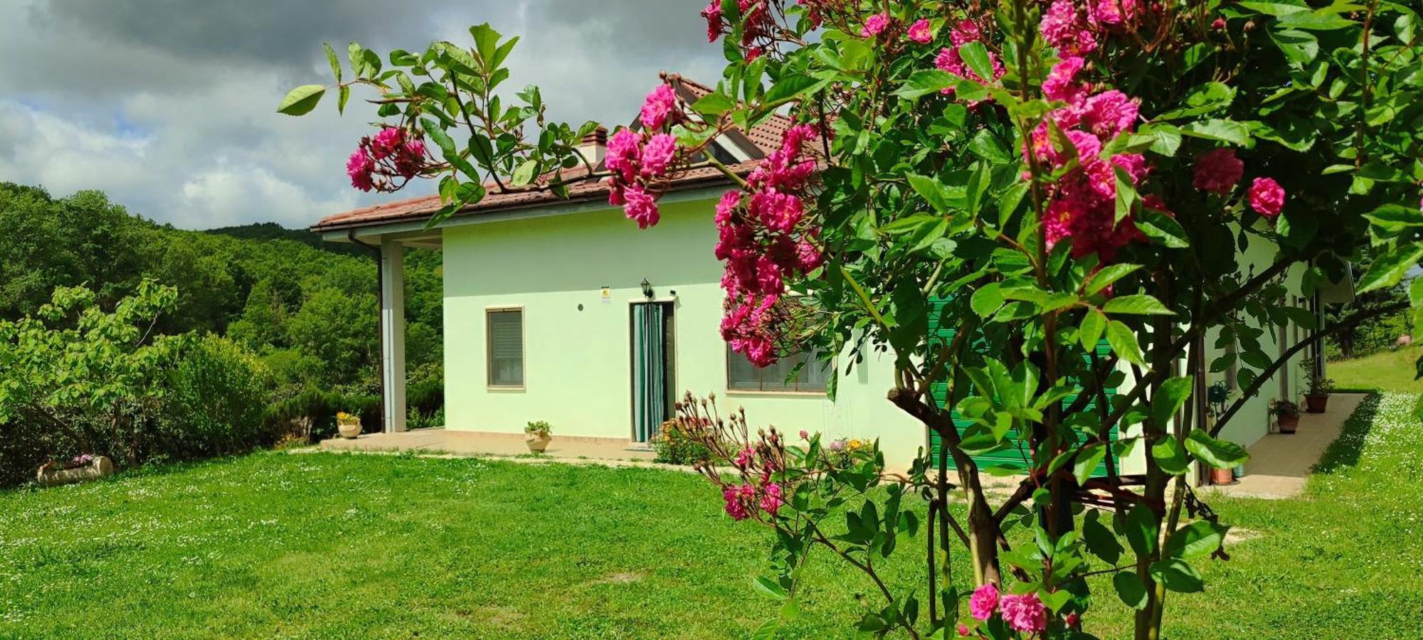 Ferienwohnung Pia'S House Garden Campobasso Exterior foto